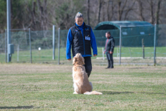 Concorso Internazionale Cani Di Utilità