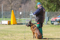 Concorso Internazionale Cani Di Utilità