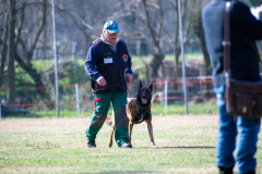Concorso Internazionale Cani Di Utilità