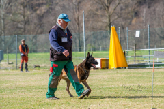 Concorso Internazionale Cani Di Utilità