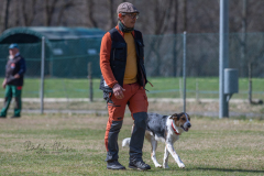 Concorso Internazionale Cani Di Utilità
