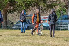 Concorso Internazionale Cani Di Utilità
