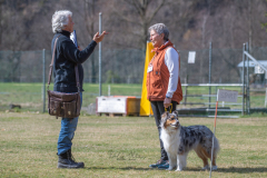 Concorso Internazionale Cani Di Utilità