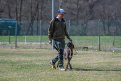 Concorso Internazionale Cani Di Utilità