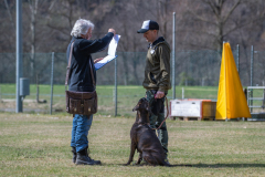Concorso Internazionale Cani Di Utilità