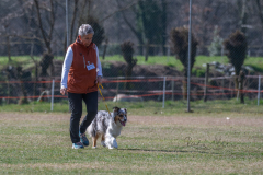 Concorso Internazionale Cani Di Utilità