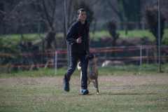 Concorso Internazionale Cani Di Utilità