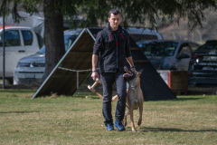 Concorso Internazionale Cani Di Utilità