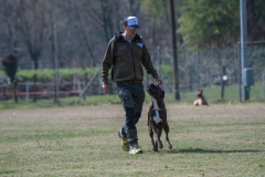 Concorso Internazionale Cani Di Utilità