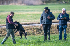 Concorso Internazionale Cani Di Utilità