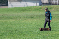 Concorso Internazionale Cani Di Utilità