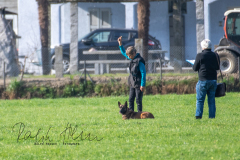 Concorso Internazionale Cani Di Utilità