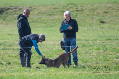 Concorso Internazionale Cani Di Utilità