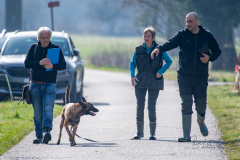 Concorso Internazionale Cani Di Utilità