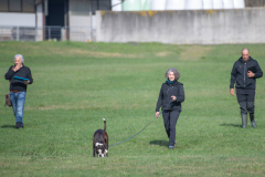 Concorso Internazionale Cani Di Utilità