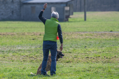 Concorso Internazionale Cani Di Utilità