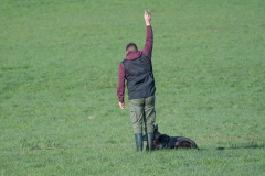 Concorso Internazionale Cani Di Utilità