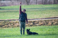 Concorso Internazionale Cani Di Utilità