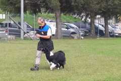 IMG-20200805-WA0013