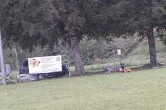 IMG-20200805-WA0017