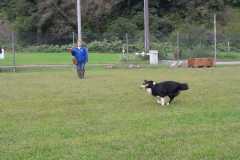 IMG-20200805-WA0018