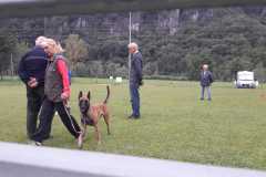IMG-20200805-WA0019