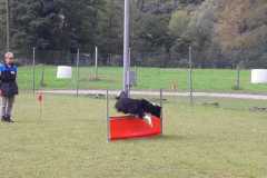 IMG-20200805-WA0021