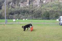 IMG-20200805-WA0025