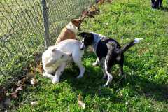 IMG-20200806-WA0001