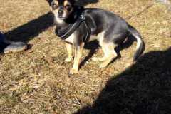 IMG-20200806-WA0002