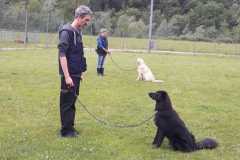 IMG-20200806-WA0003