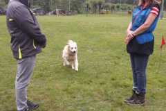IMG-20200806-WA0006
