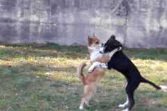 IMG-20200806-WA0007