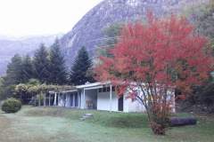 IMG-20200806-WA0008