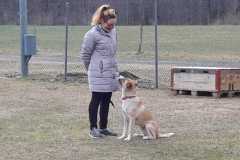 IMG-20200806-WA0011