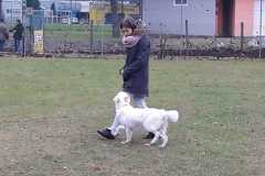 IMG-20200806-WA0012