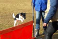 IMG-20200921-WA0001