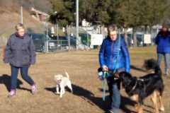 IMG-20200921-WA0002