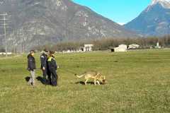 IMG-20200921-WA0006