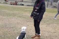 IMG-20200921-WA0008