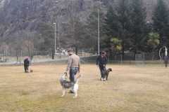 IMG-20200921-WA0009