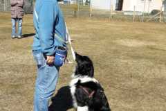 IMG-20200921-WA0011