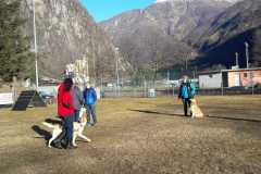 IMG-20200921-WA0012