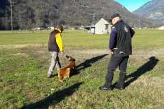 IMG-20200921-WA0013