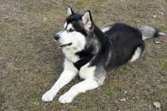 IMG-20200921-WA0017