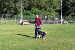 IMG-20200921-WA0033