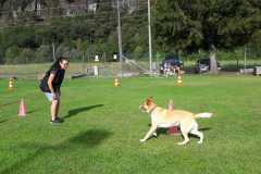 IMG-20200921-WA0059