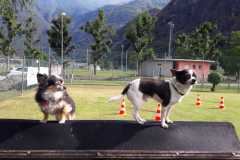 IMG-20200921-WA0070