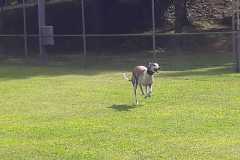 IMG-20200921-WA0072