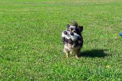 IMG-20200921-WA0073